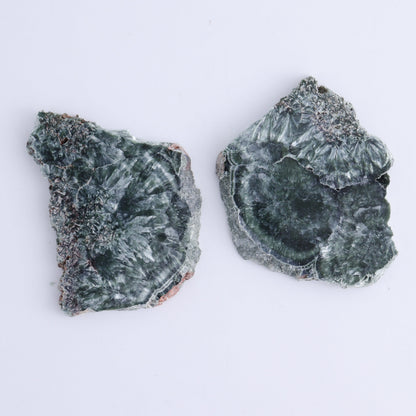 Seraphinite Slices Set of 12 - Expert Wholesale and Supplier of Wholesale Crystals & Bulk Gemstones, ["Russia","Seraphinite","Slices and Slabs"]