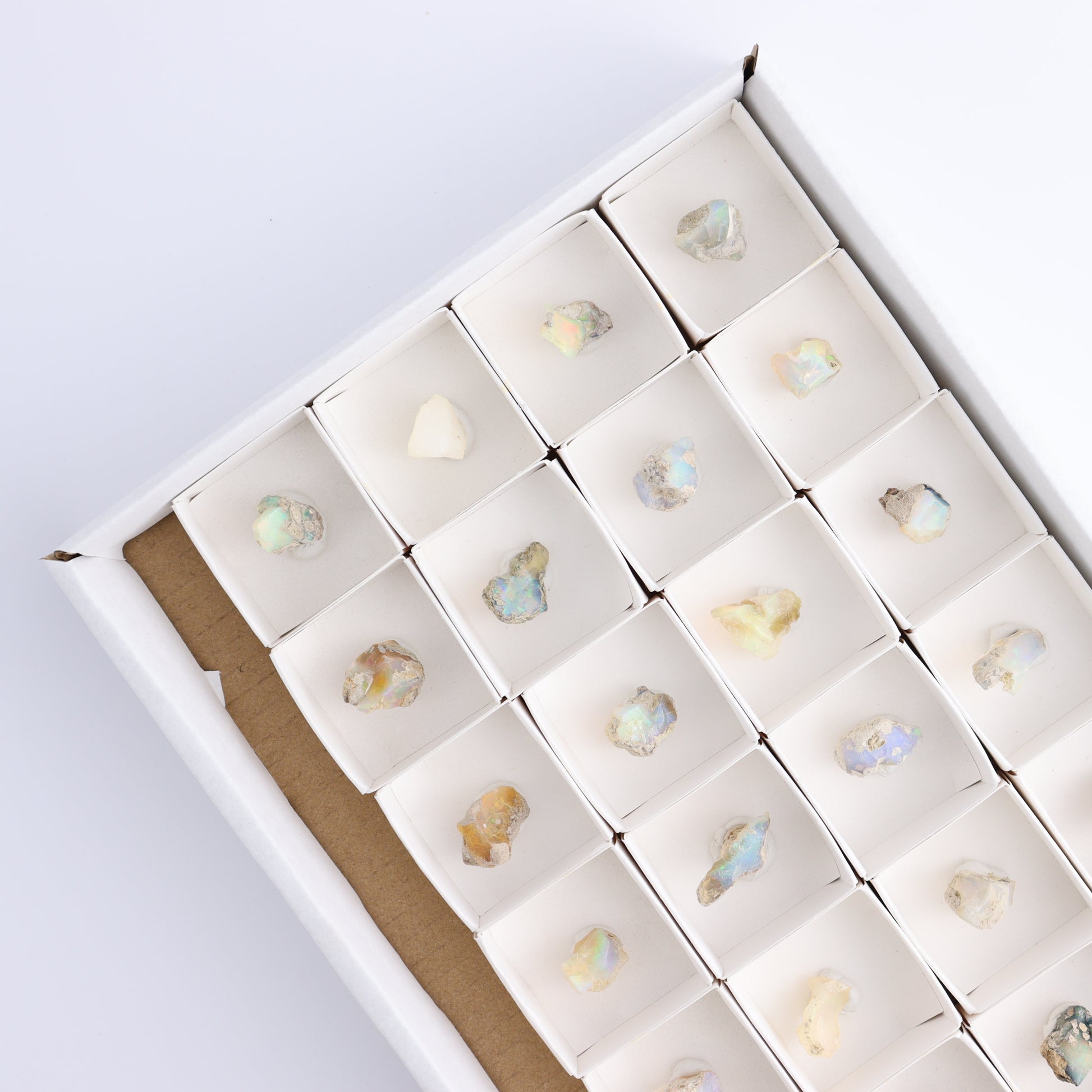 Ethiopian Opal Set of 24 - Expert Wholesale and Supplier of Wholesale Crystals & Bulk Gemstones, ["Ethiopia","ethiopian opal","Opal"]