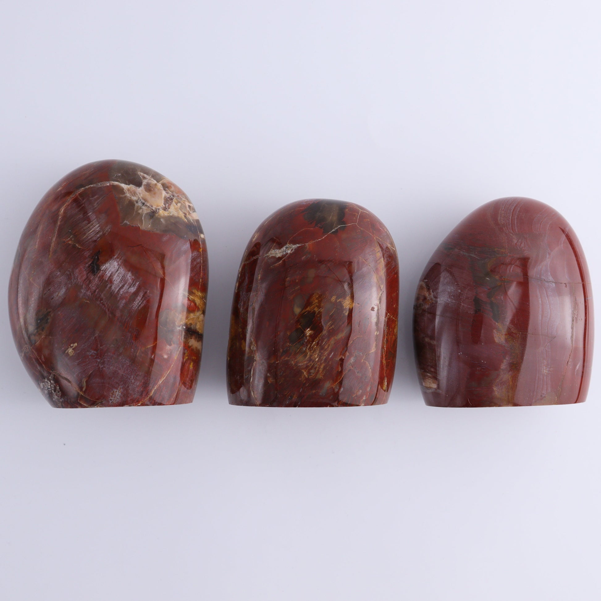 Petrified Wood Freeform Set of 3 - Expert Wholesale and Supplier of Wholesale Crystals & Bulk Gemstones, ["Freeforms","Madagascar","Petrified Wood"]