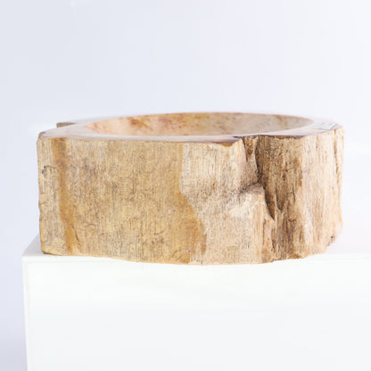 Petrified Wood Bowls Set of 2 - Expert Wholesale and Supplier of Wholesale Crystals & Bulk Gemstones, ["Bowls","Indonesia","Petrified Wood"]