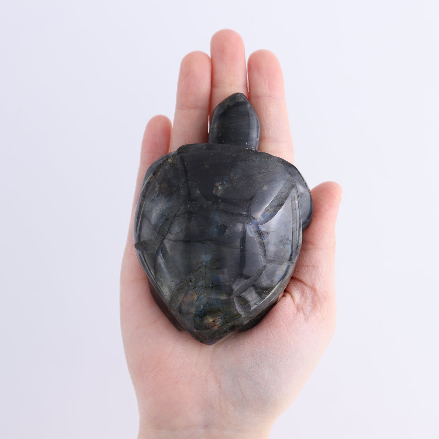 Labradorite Turtles Set of 5