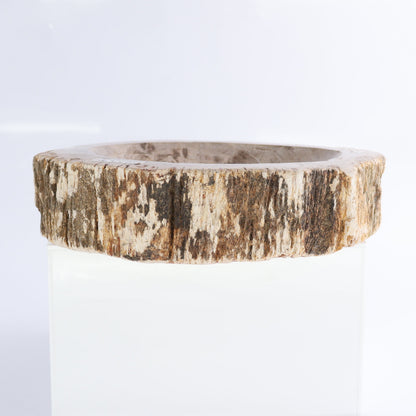 Petrified Wood Bowls Set of 2 - Expert Wholesale and Supplier of Wholesale Crystals & Bulk Gemstones, ["Bowls","Indonesia","Petrified Wood"]