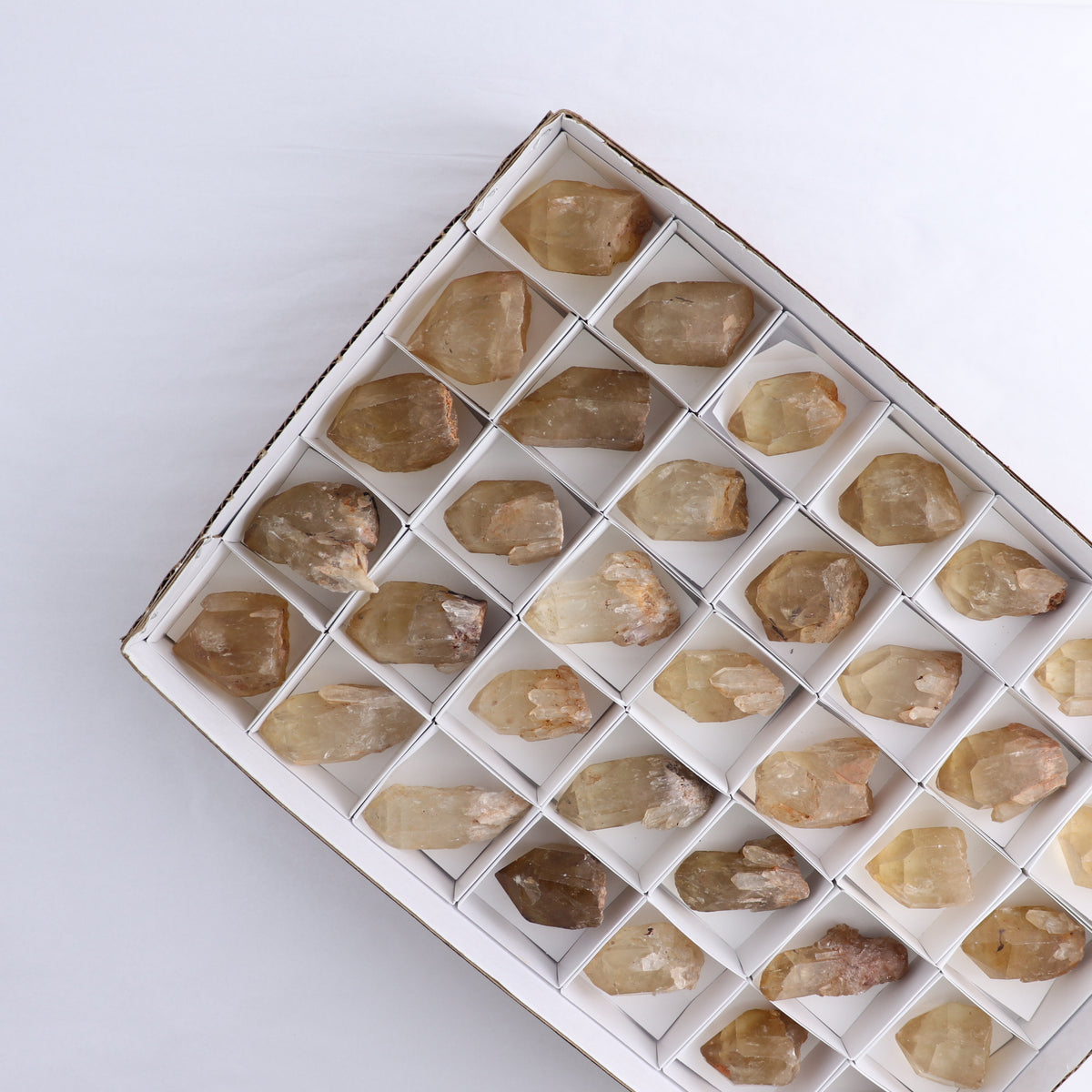 Congo Citrine Set of 35
