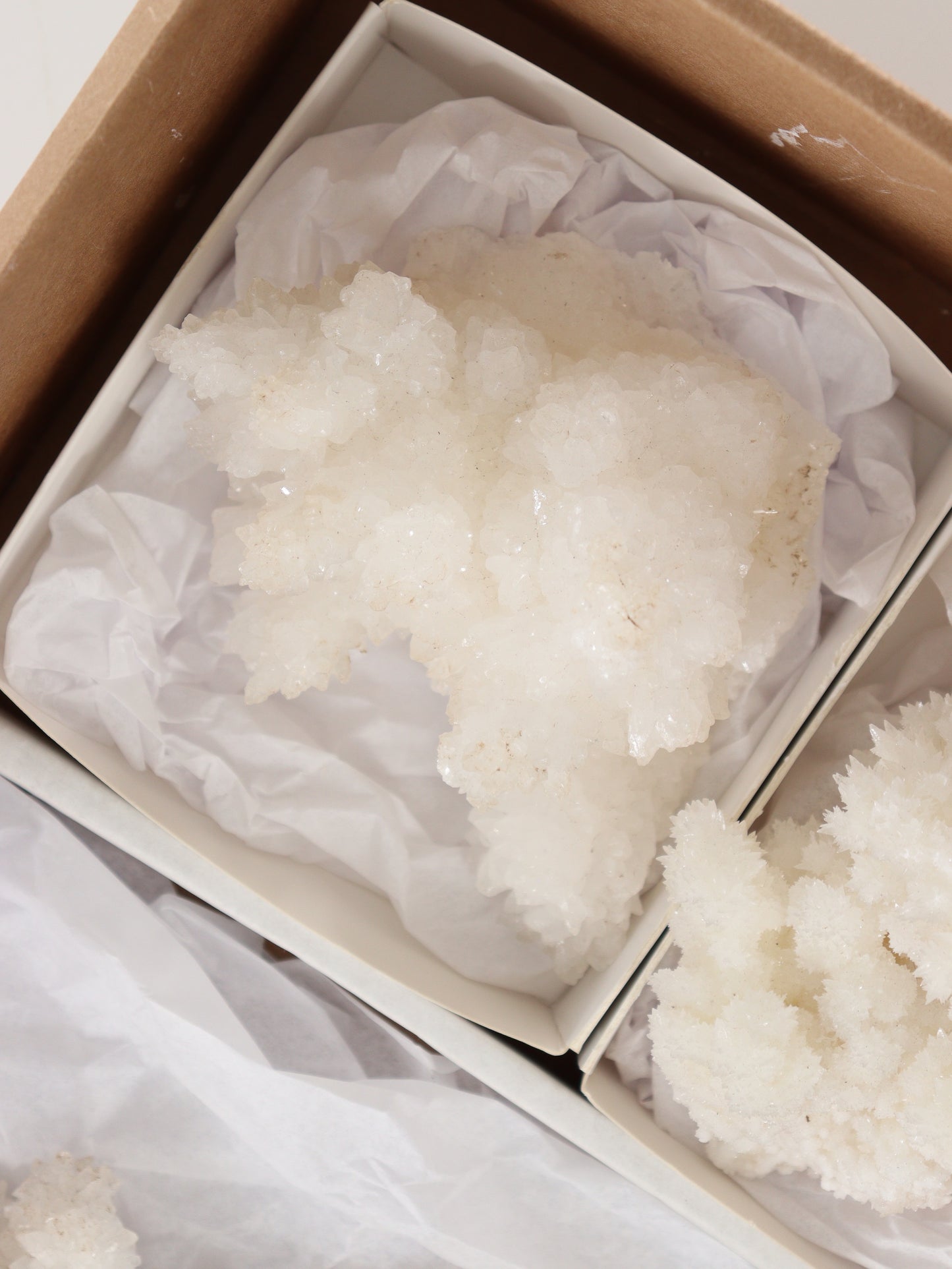 Aragonite Clusters Flat - Expert Wholesale and Supplier of Wholesale Crystals & Bulk Gemstones, []