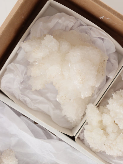 Aragonite Clusters Flat - Expert Wholesale and Supplier of Wholesale Crystals & Bulk Gemstones, []