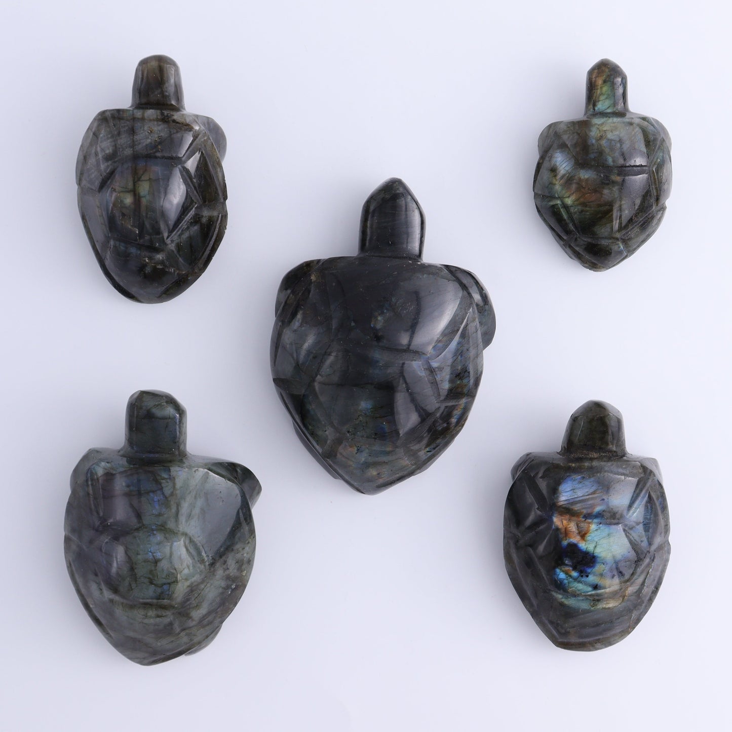 Labradorite Turtles Set of 5
