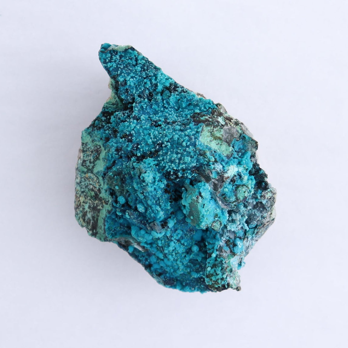 Chrysocolla on Quartz Roughs Set of 6