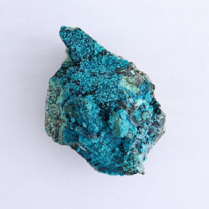 Chrysocolla on Quartz Roughs Set of 6