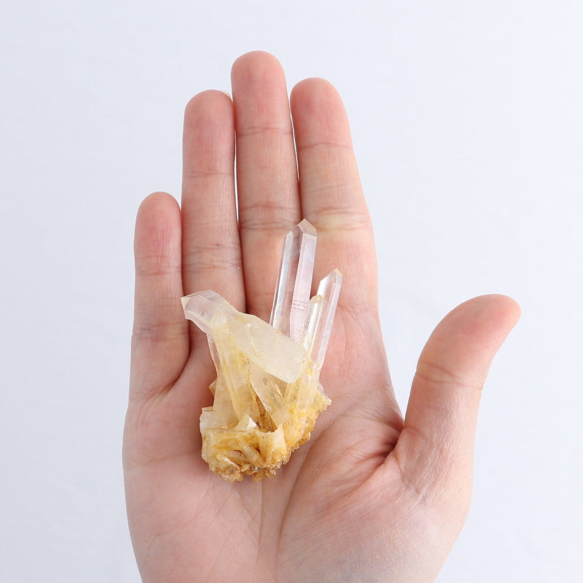 Lemurian Clusters from Columbia Set of 6
