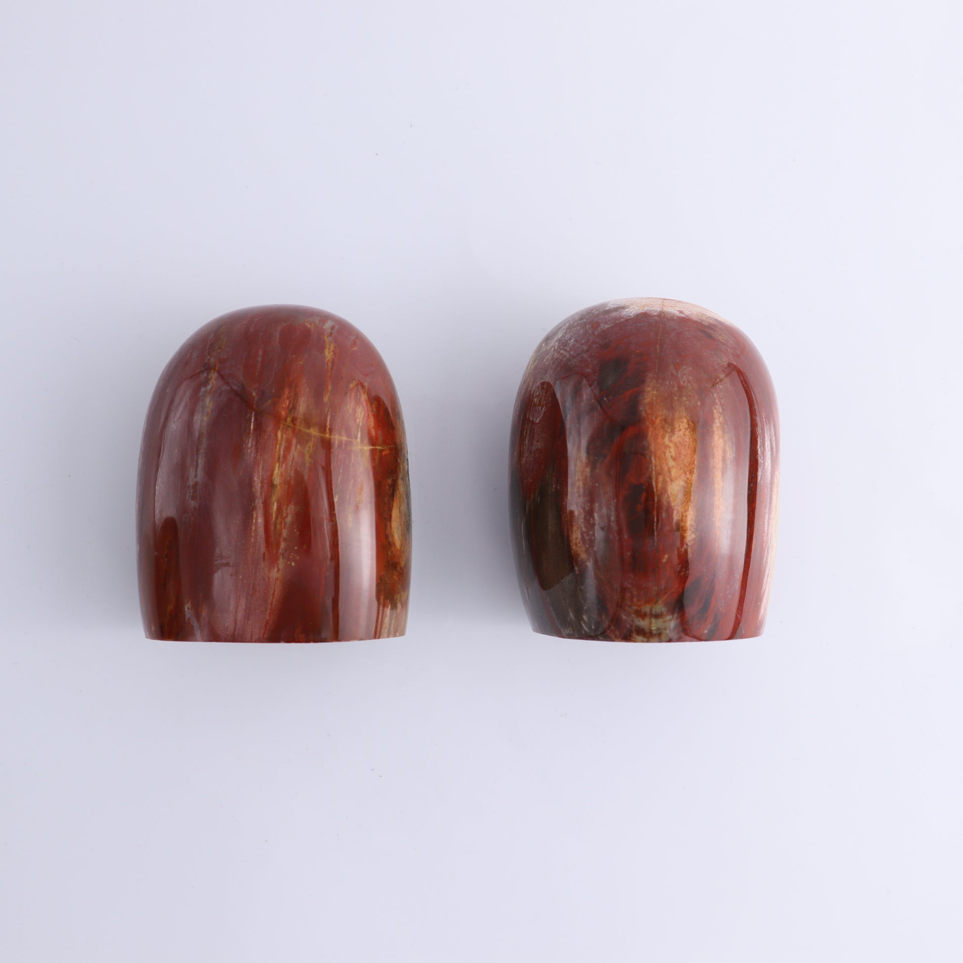 Petrified Wood Freeform Set of 3 - Expert Wholesale and Supplier of Wholesale Crystals & Bulk Gemstones, ["Freeforms","Madagascar","Petrified Wood"]