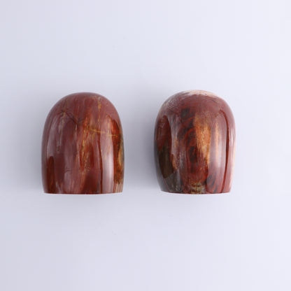 Petrified Wood Freeform Set of 3 - Expert Wholesale and Supplier of Wholesale Crystals & Bulk Gemstones, ["Freeforms","Madagascar","Petrified Wood"]