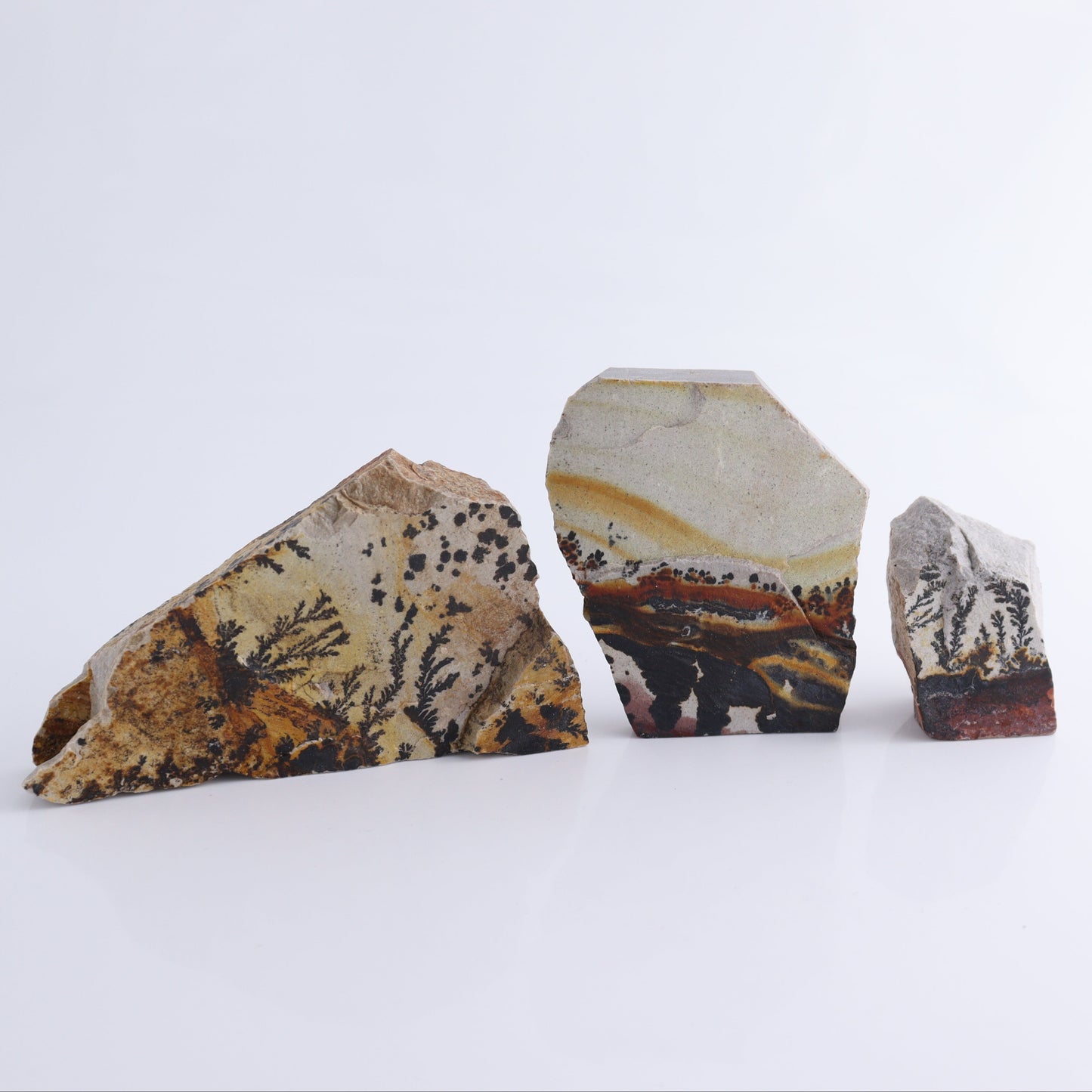 Dendrites Flat Set of 6 - Expert Wholesale and Supplier of Wholesale Crystals & Bulk Gemstones, ["Dendrite","Flats"]