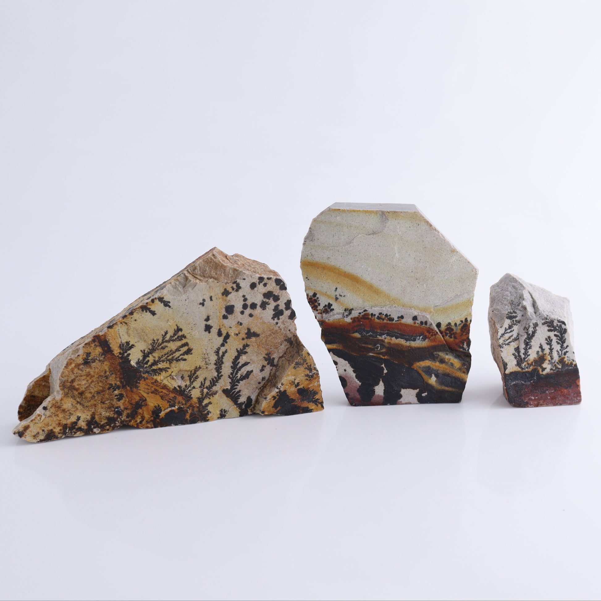 Dendrites Flat Set of 6 - Expert Wholesale and Supplier of Wholesale Crystals & Bulk Gemstones, ["Dendrite","Flats"]