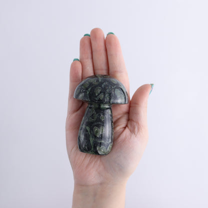 Kambaba Jasper Mushrooms Set of 8 - Expert Wholesale and Supplier of Wholesale Crystals & Bulk Gemstones, ["Kambaba Jasper","Madagascar","Mushrooms"]