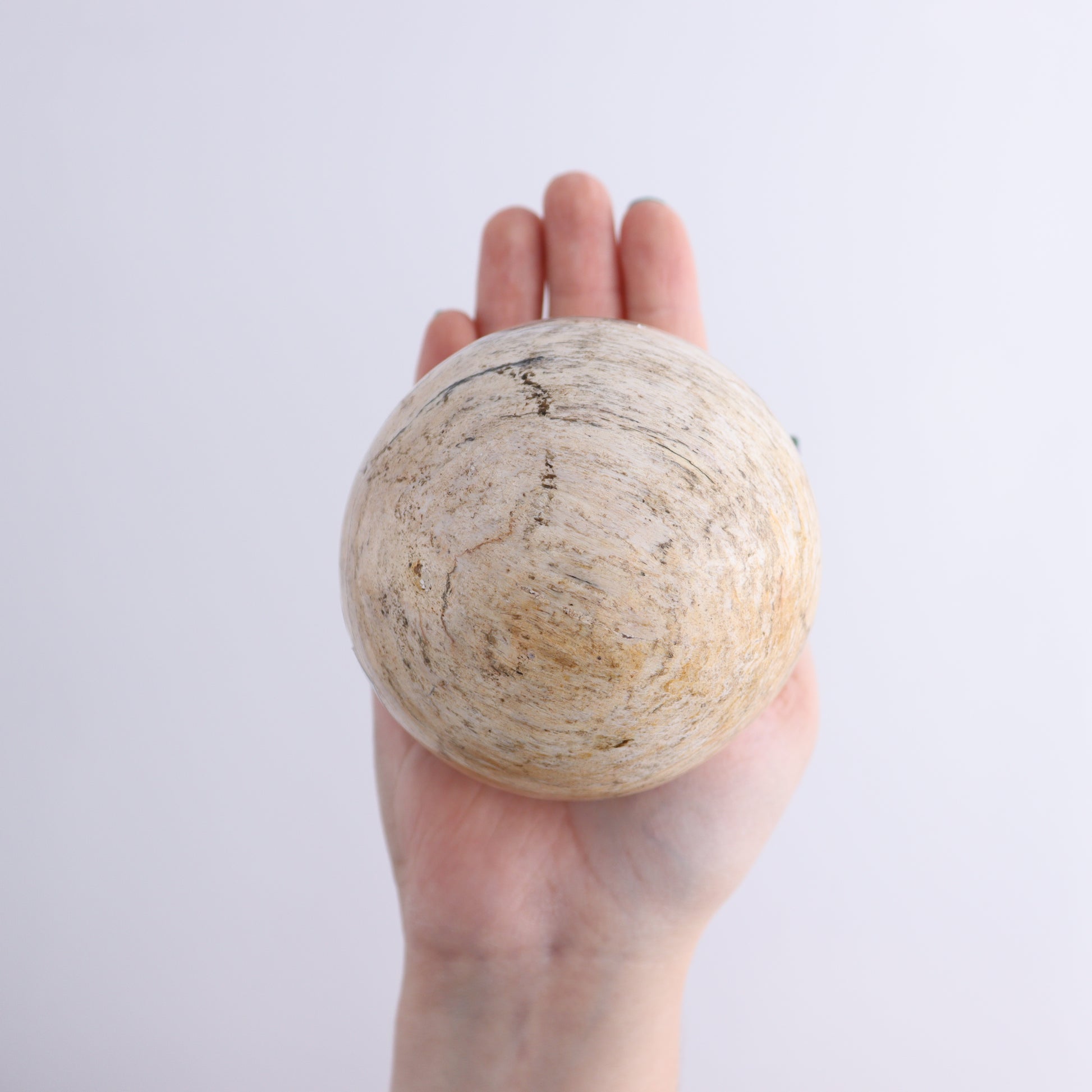 Petrified Wood Spheres Set of 4 - Expert Wholesale and Supplier of Wholesale Crystals & Bulk Gemstones, ["Indonesia","Petrified Wood","Spheres"]