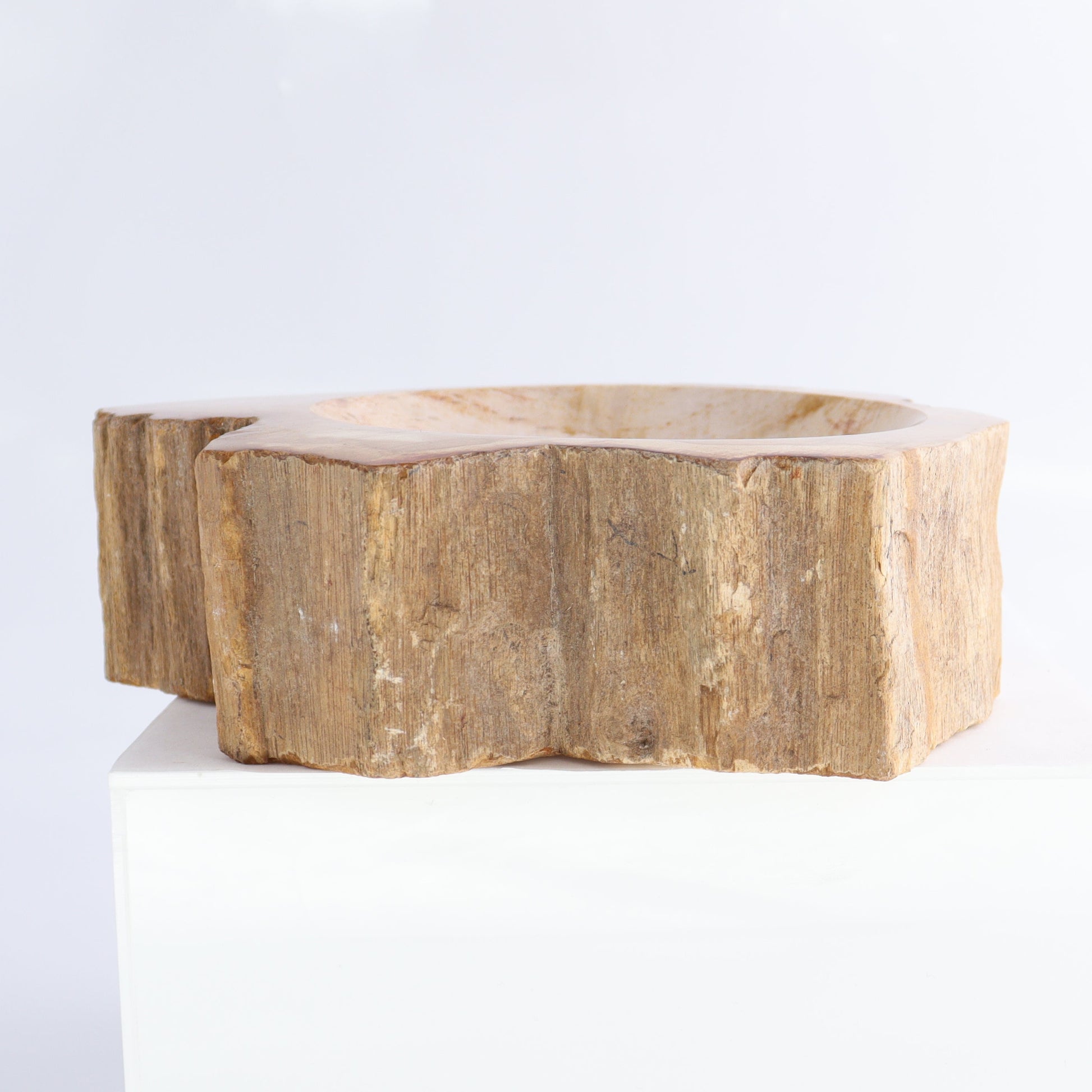 Petrified Wood Bowls Set of 2 - Expert Wholesale and Supplier of Wholesale Crystals & Bulk Gemstones, ["Bowls","Indonesia","Petrified Wood"]