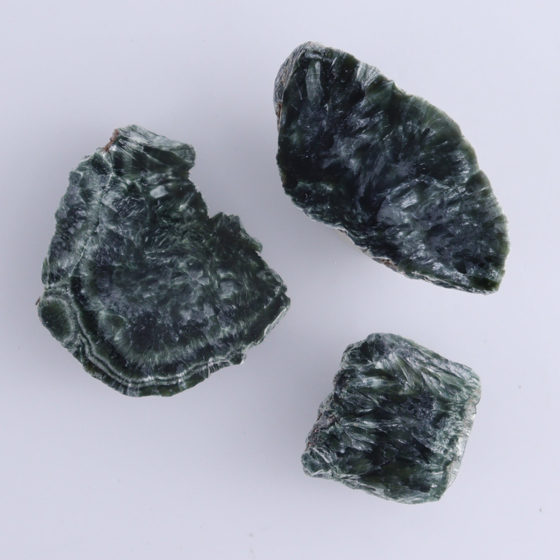 Seraphinite Slices Set of 7 - Expert Wholesale and Supplier of Wholesale Crystals & Bulk Gemstones, ["Seraphinite","Slices and Slabs"]