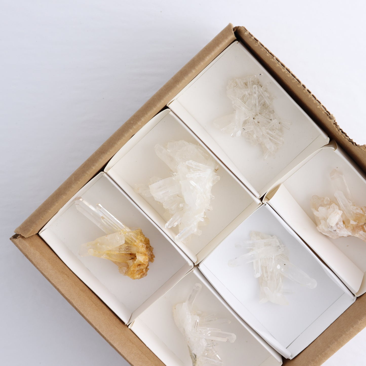 Lemurian Clusters from Columbia Set of 6