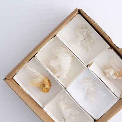 Lemurian Clusters from Columbia Set of 6