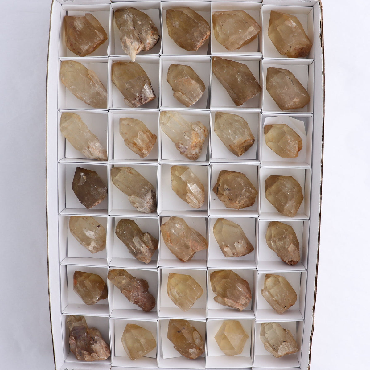 Congo Citrine Set of 35