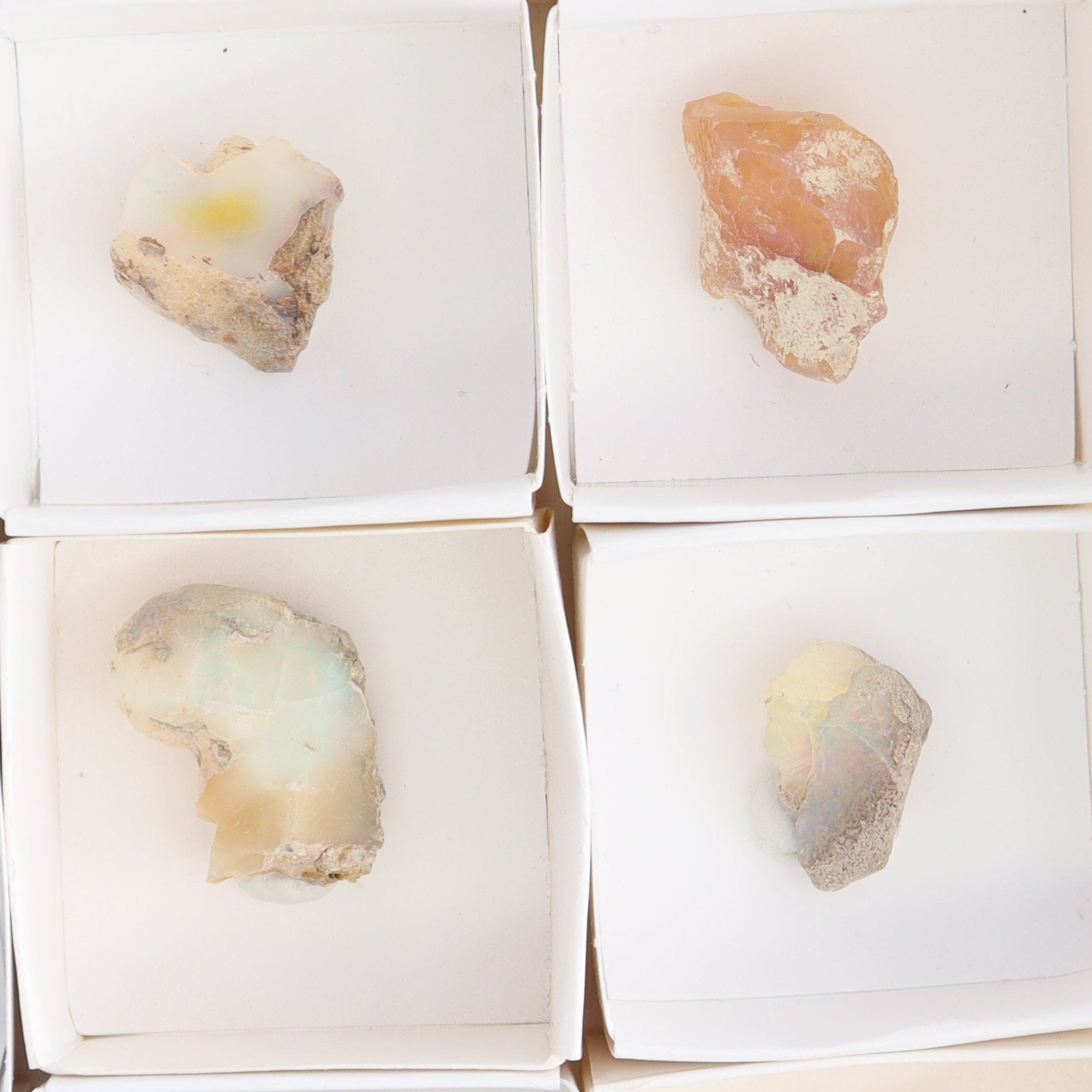 Ethiopian Opal Set of 10 - Expert Wholesale and Supplier of Wholesale Crystals & Bulk Gemstones, ["Ethiopia","ethiopian opal","Opal"]