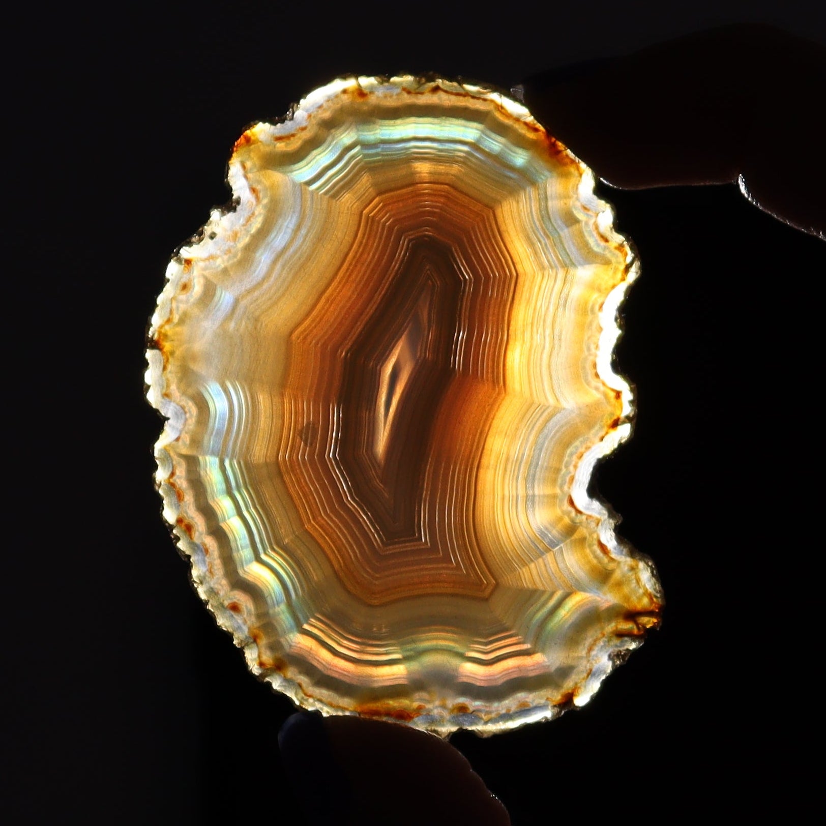 Iris Agate Slices Set of 8 - Expert Wholesale and Supplier of Wholesale Crystals & Bulk Gemstones, ["Agate","Iris Agate","Slices and Slabs"]