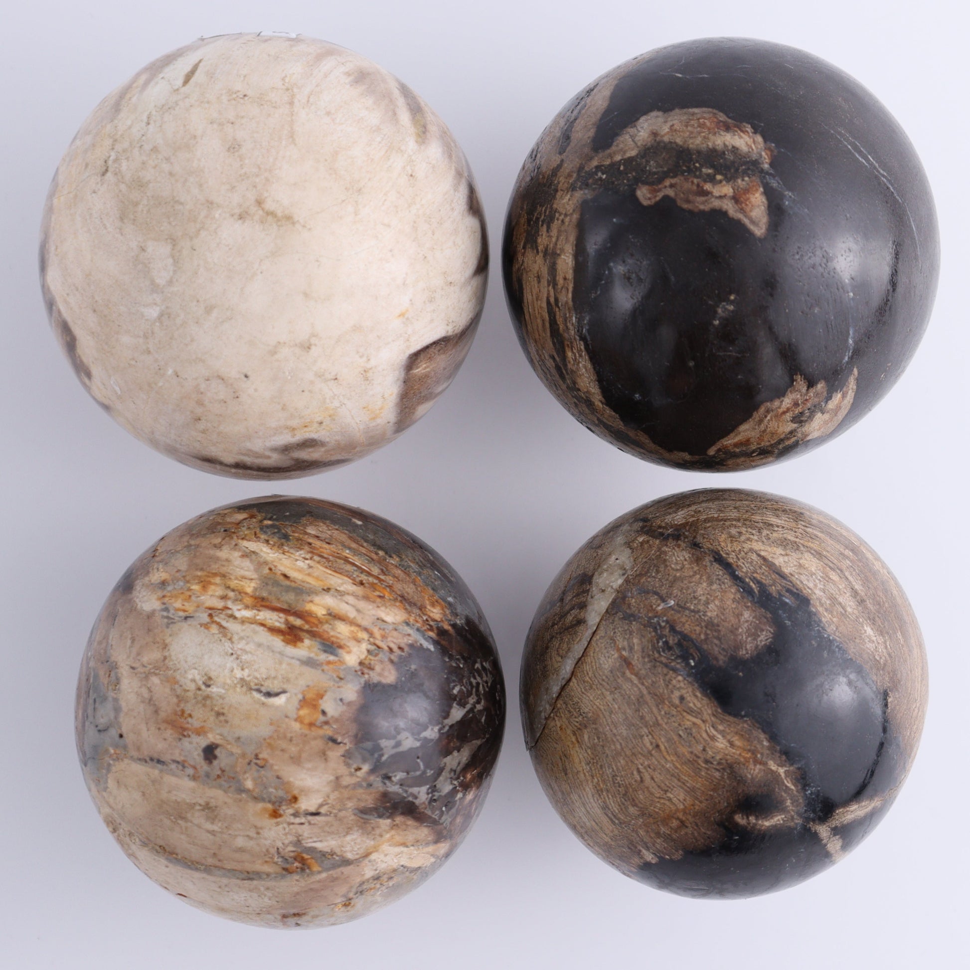 Petrified Wood Spheres Set of 4 - Expert Wholesale and Supplier of Wholesale Crystals & Bulk Gemstones, ["Indonesia","Petrified Wood","Spheres"]