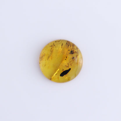 Chiapas Mexico Amber Cabs Set of 5 - Expert Wholesale and Supplier of Wholesale Crystals & Bulk Gemstones, ["Amber","Cabs","Chiapas Amber","Mexico"]