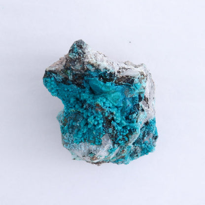 Chrysocolla on Quartz Roughs Set of 6