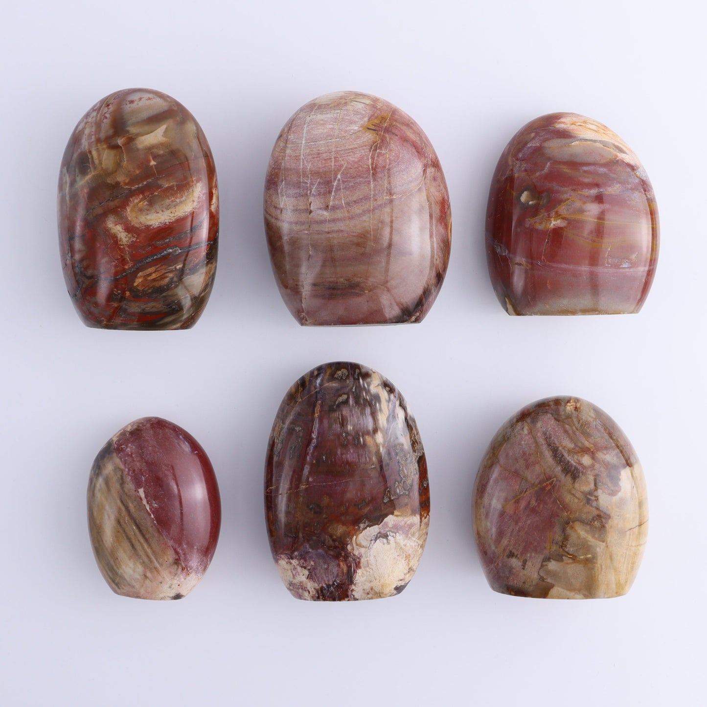 Petrified Wood Freeforms Set of 6 - Expert Wholesale and Supplier of Wholesale Crystals & Bulk Gemstones, ["Freeform","Freeforms","Madagascar","Petrified Wood"]