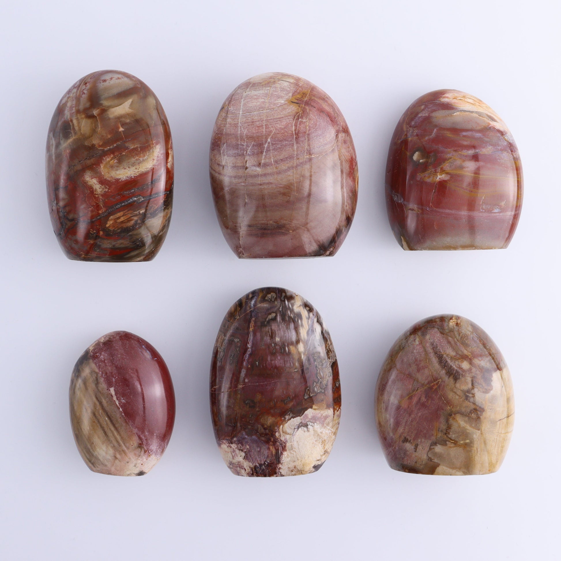 Petrified Wood Freeforms Set of 6 - Expert Wholesale and Supplier of Wholesale Crystals & Bulk Gemstones, ["Freeform","Freeforms","Madagascar","Petrified Wood"]