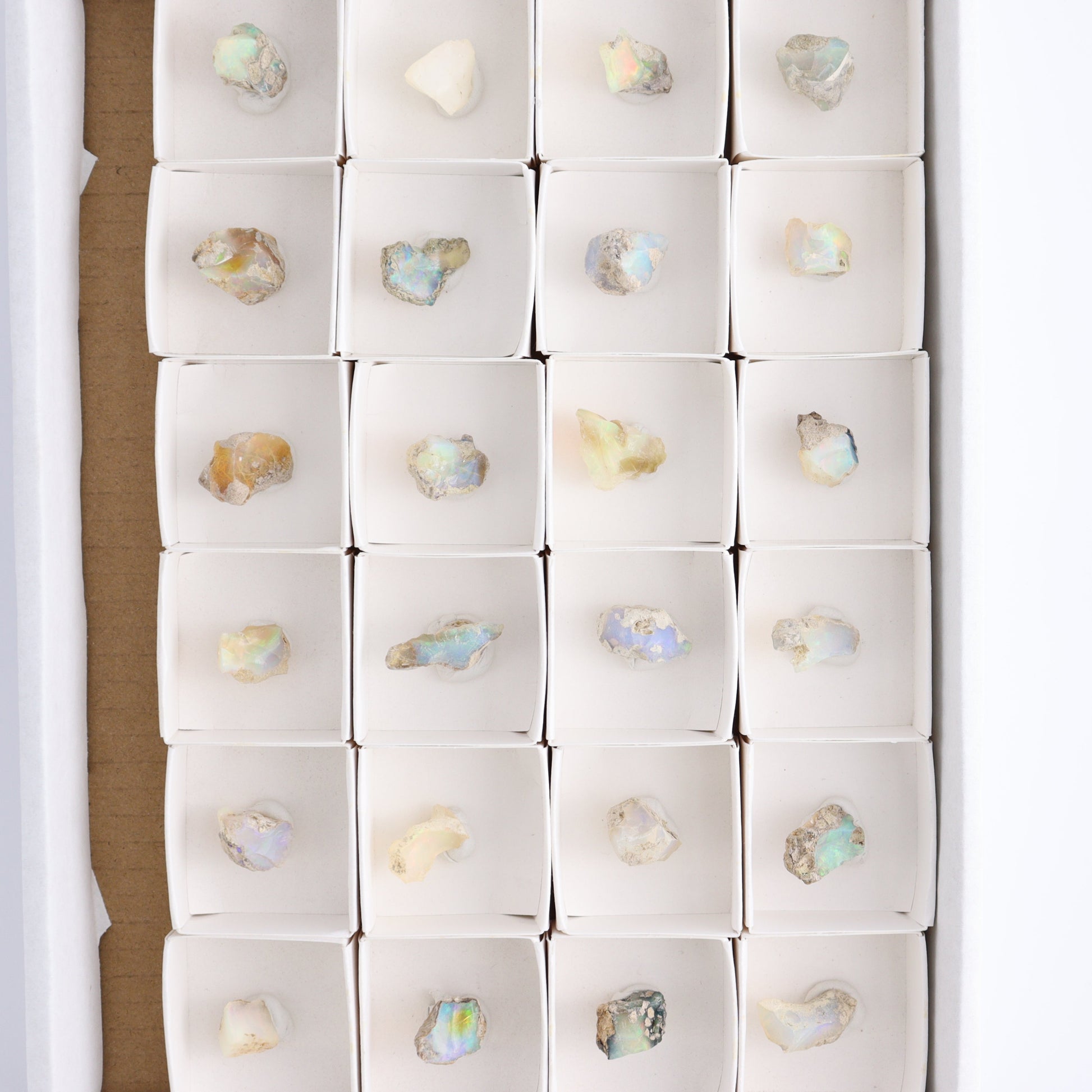 Ethiopian Opal Set of 24 - Expert Wholesale and Supplier of Wholesale Crystals & Bulk Gemstones, ["Ethiopia","ethiopian opal","Opal"]