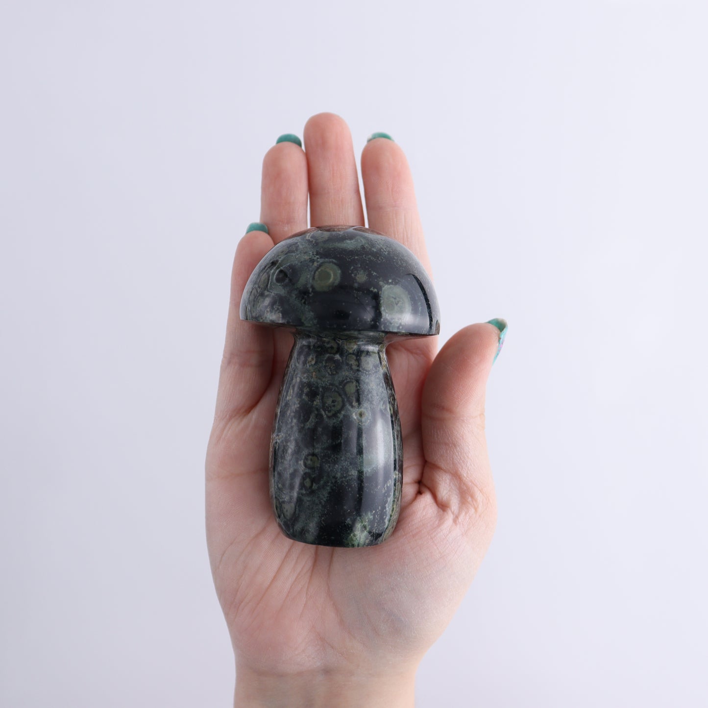 Kambaba Jasper Mushrooms Set of 8 - Expert Wholesale and Supplier of Wholesale Crystals & Bulk Gemstones, ["Kambaba Jasper","Madagascar","Mushrooms"]