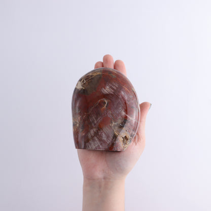 Petrified Wood Freeform Set of 3 - Expert Wholesale and Supplier of Wholesale Crystals & Bulk Gemstones, ["Freeforms","Madagascar","Petrified Wood"]