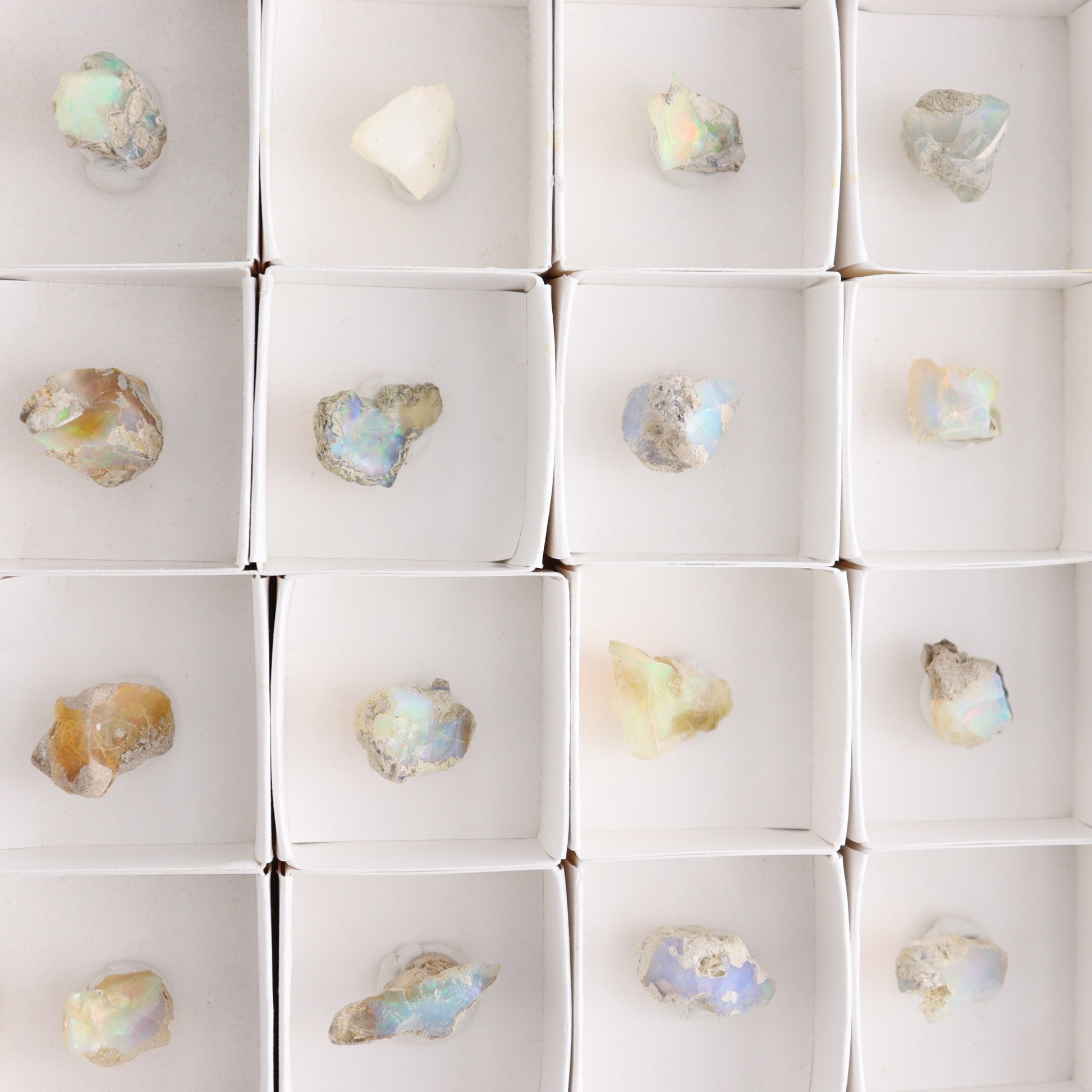 Ethiopian Opal Set of 24 - Expert Wholesale and Supplier of Wholesale Crystals & Bulk Gemstones, ["Ethiopia","ethiopian opal","Opal"]