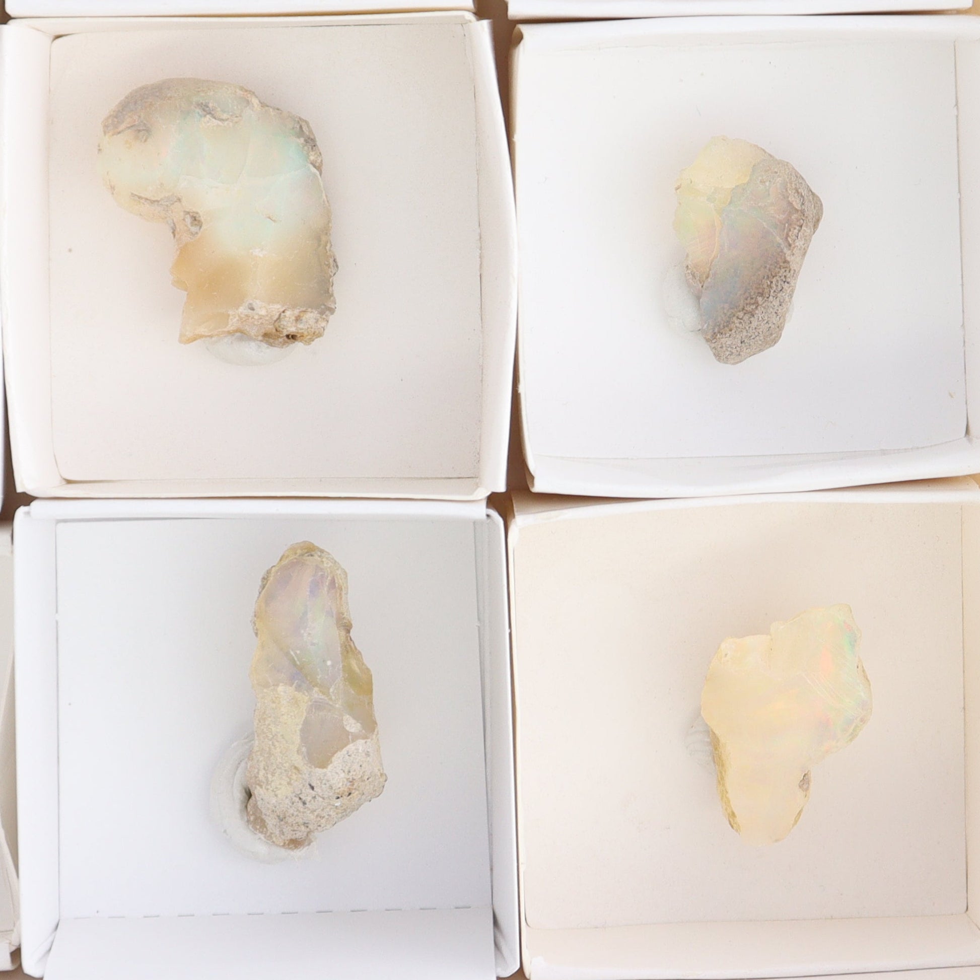 Ethiopian Opal Set of 10 - Expert Wholesale and Supplier of Wholesale Crystals & Bulk Gemstones, ["Ethiopia","ethiopian opal","Opal"]