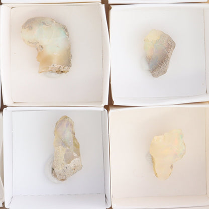 Ethiopian Opal Set of 10 - Expert Wholesale and Supplier of Wholesale Crystals & Bulk Gemstones, ["Ethiopia","ethiopian opal","Opal"]