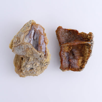 Agatized Coral Flat - Expert Wholesale and Supplier of Wholesale Crystals & Bulk Gemstones, ["Agate","Agatized Coral","Coral","United States"]