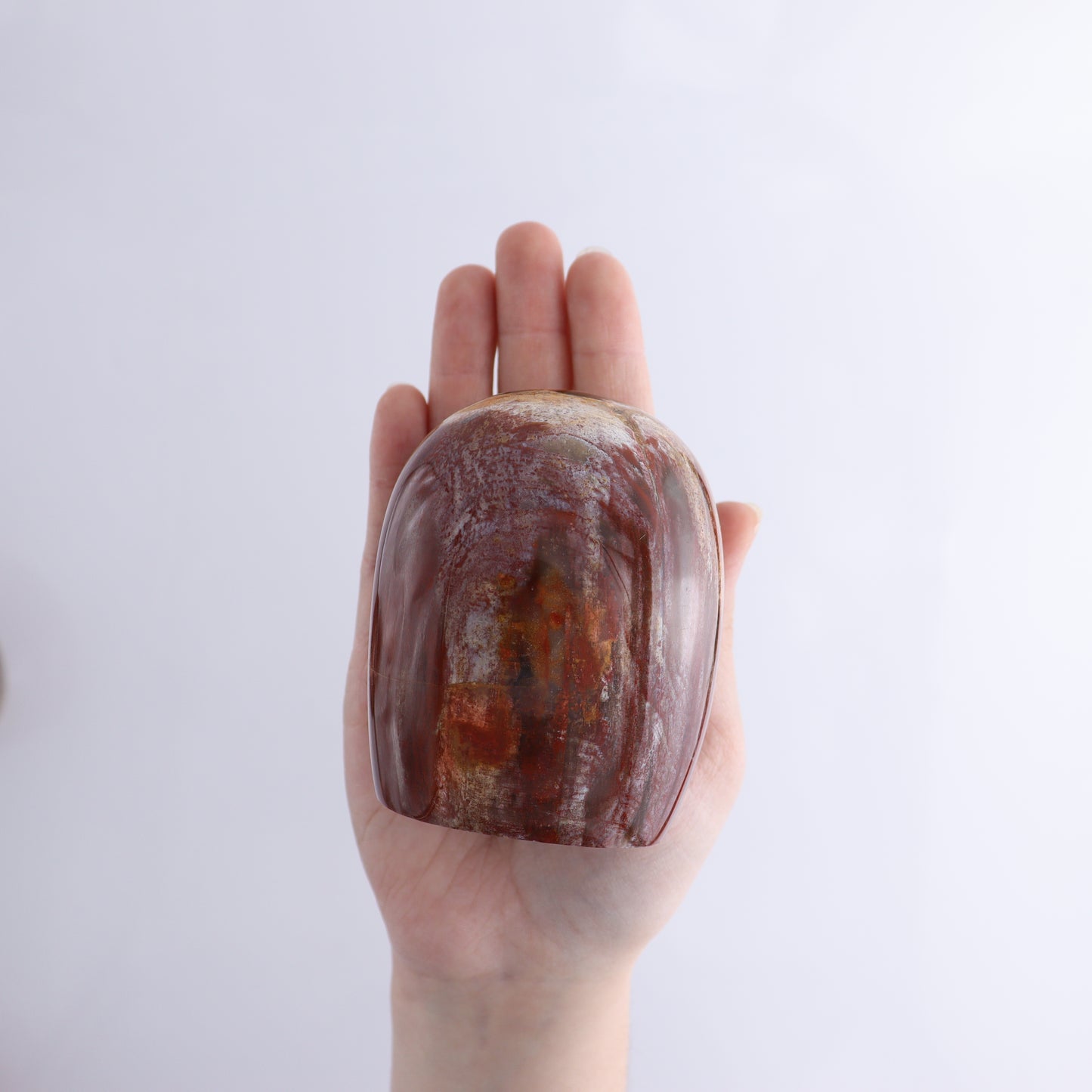 Petrified Wood Freeform Set of 3 - Expert Wholesale and Supplier of Wholesale Crystals & Bulk Gemstones, ["Freeforms","Madagascar","Petrified Wood"]