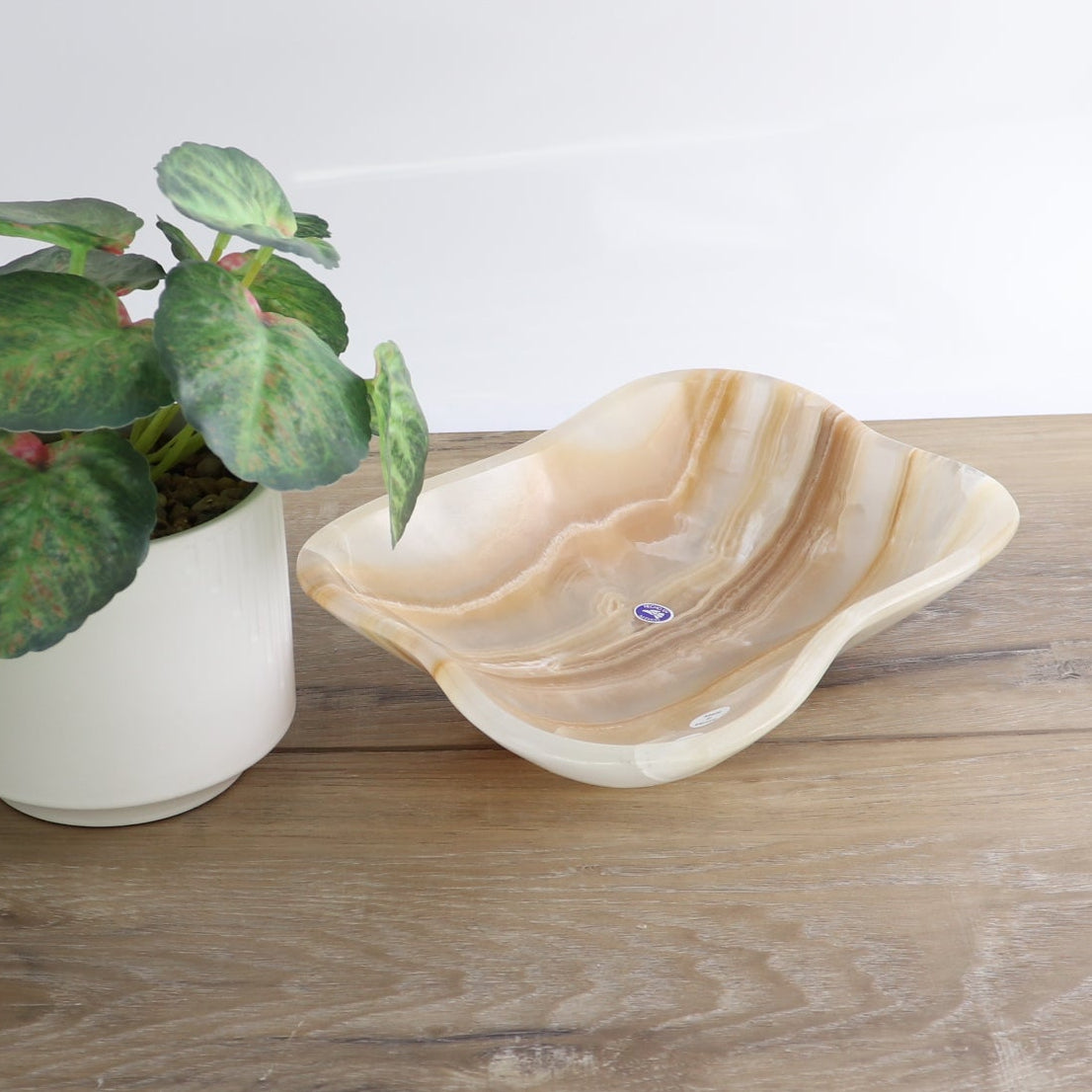 Mexican Onyx/Calcite Bowl 9"