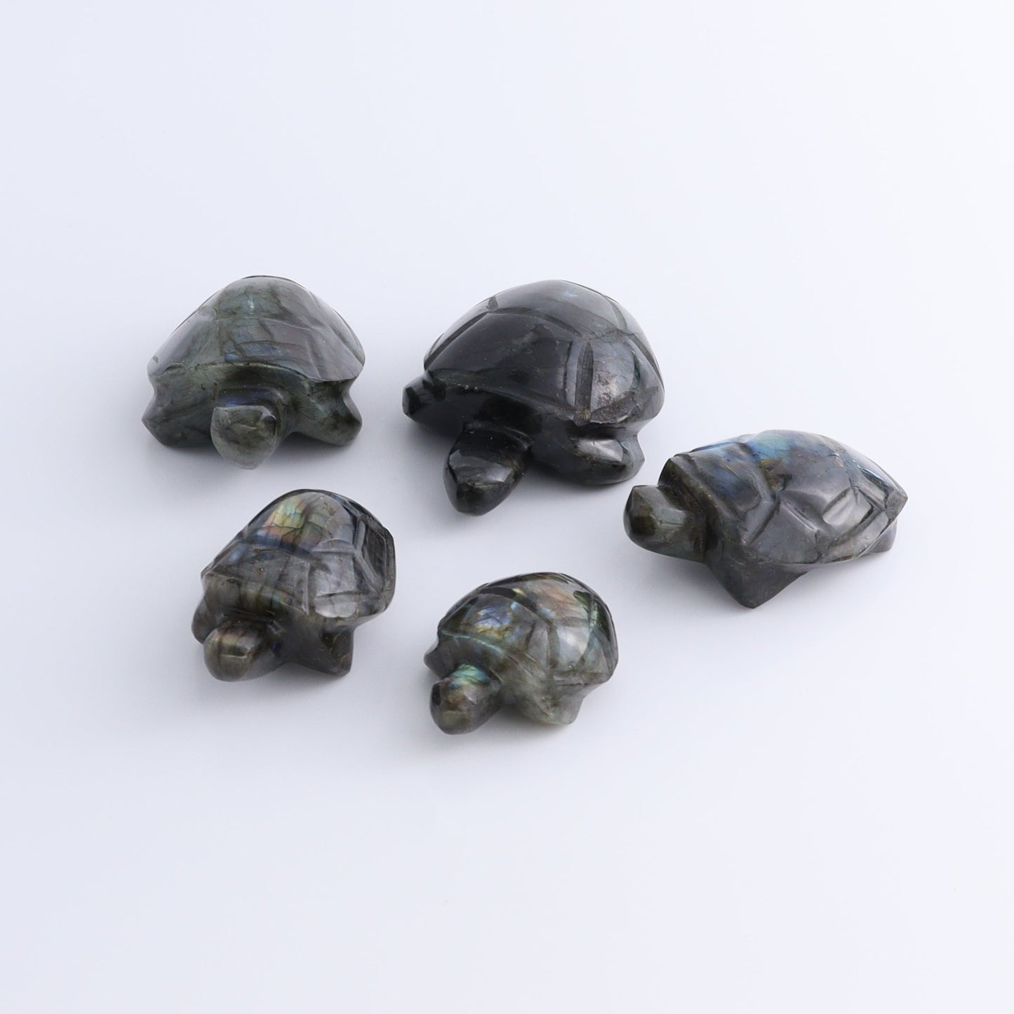 Labradorite Turtles Set of 5