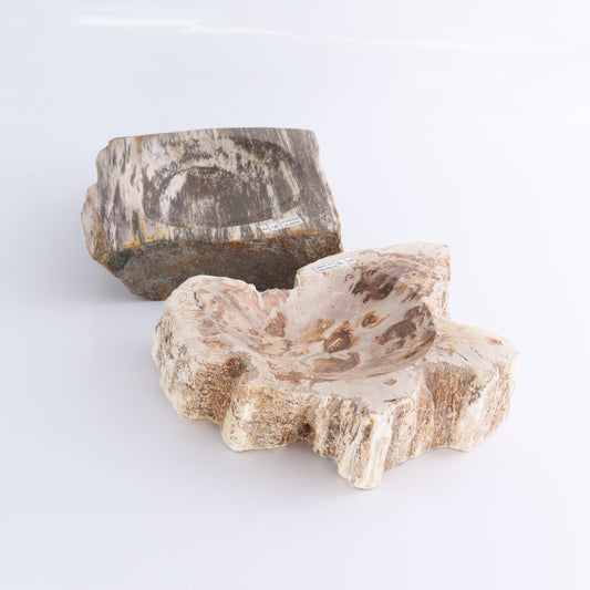 Petrified Wood Bowls Set of 2