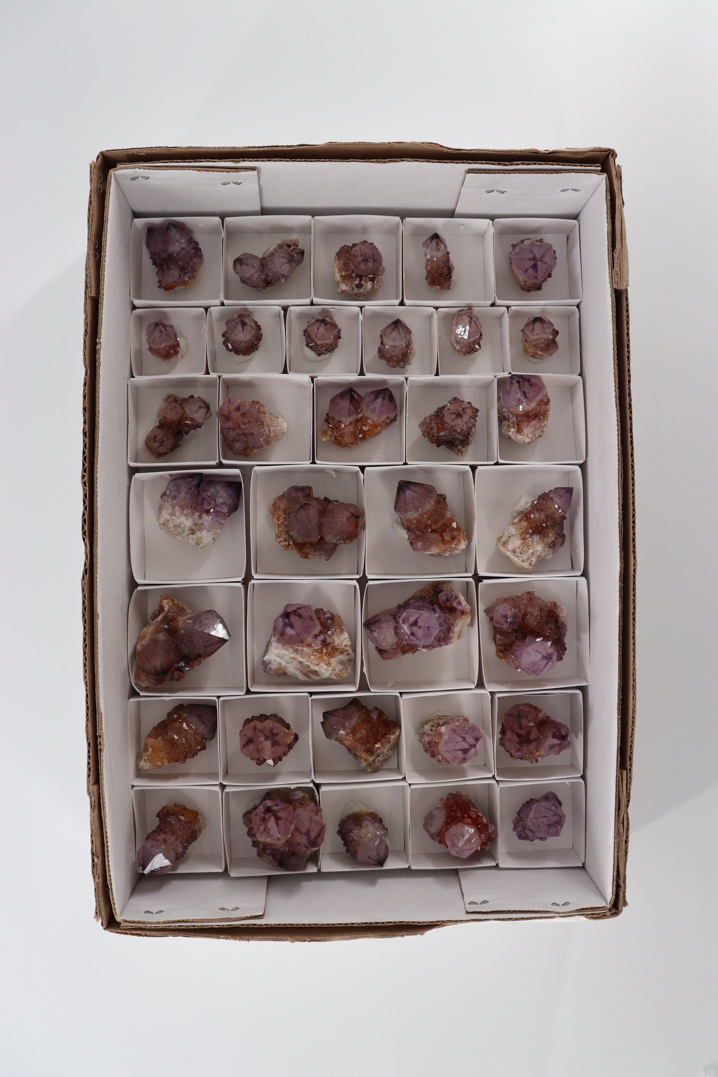 Cactus Quartz Flat - Expert Supplier of Wholesale Crystals & Bulk Gemstones