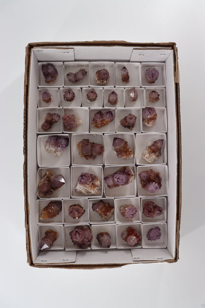 Cactus Quartz Flat - Expert Supplier of Wholesale Crystals & Bulk Gemstones