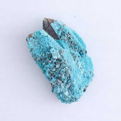 Chrysocolla on Quartz Roughs Set of 6