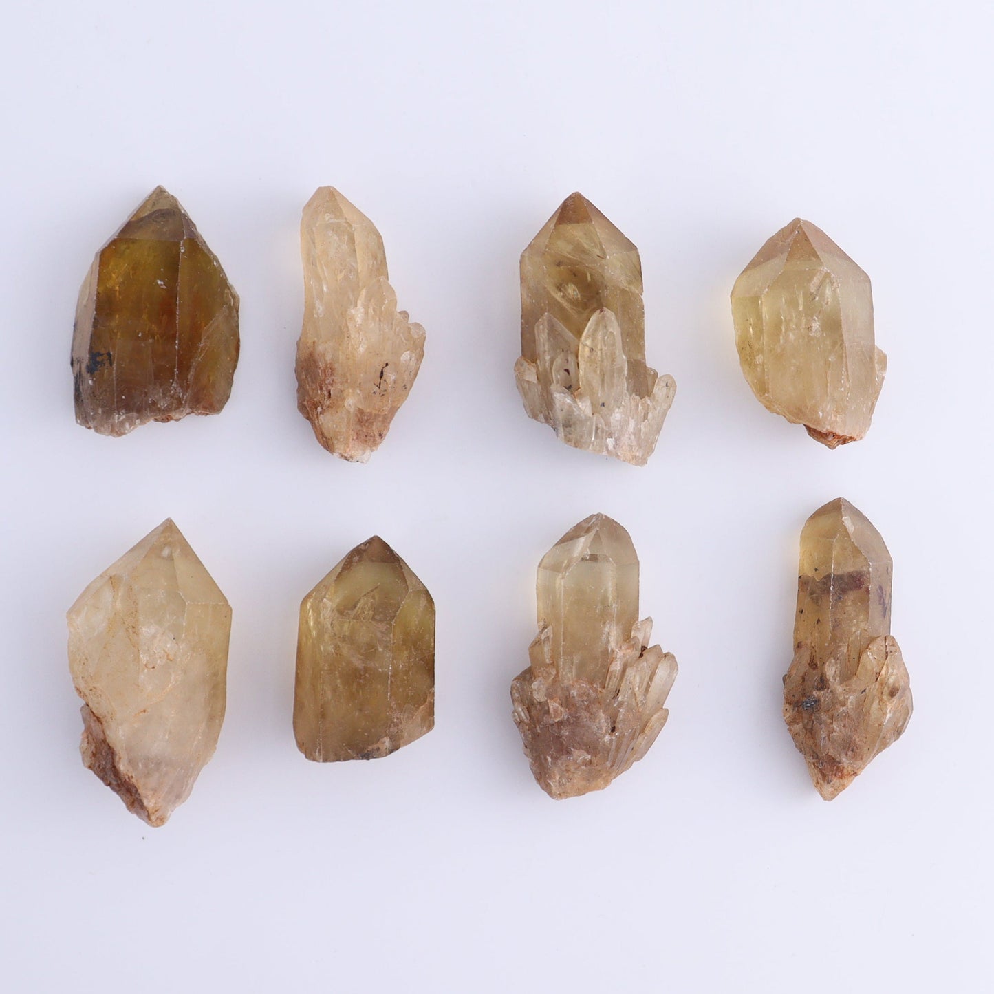 Congo Citrine Set of 35