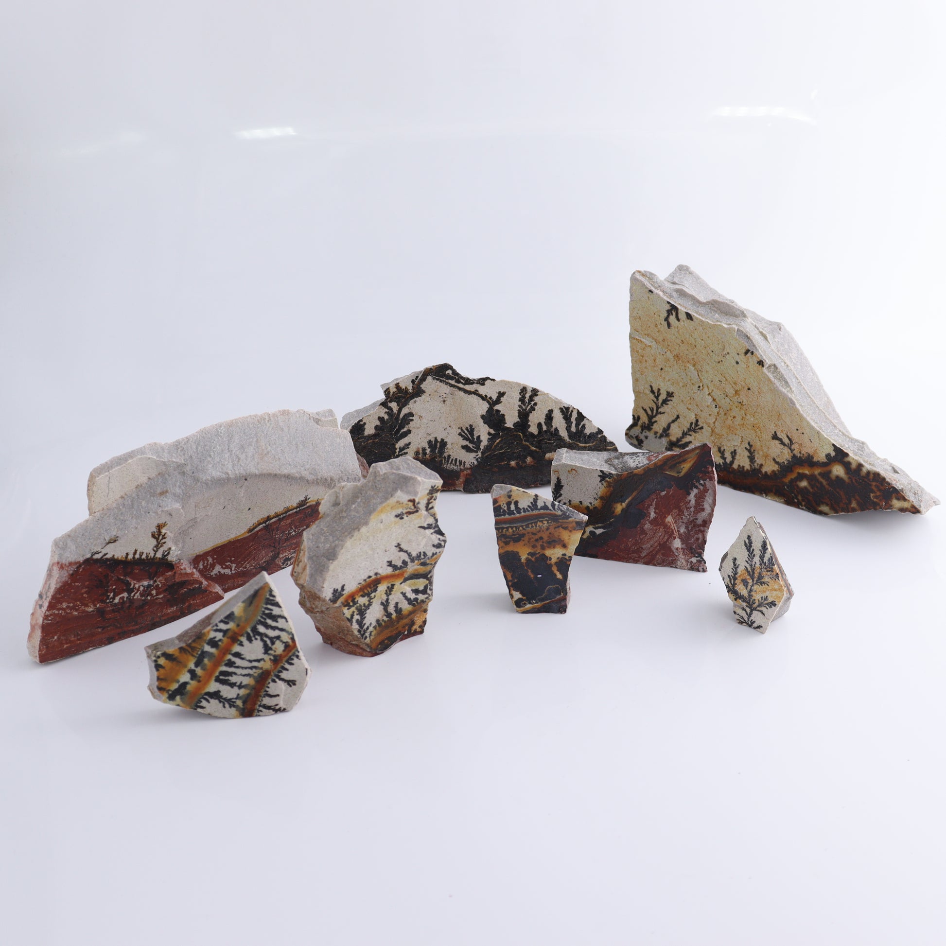 Dendrites Flat Set of 8 - Expert Wholesale and Supplier of Wholesale Crystals & Bulk Gemstones, ["Dendrite","Flats"]