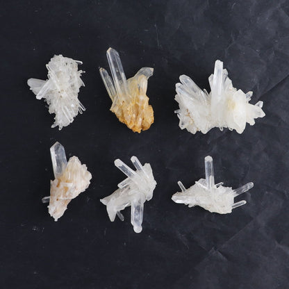 Lemurian Clusters from Columbia Set of 6