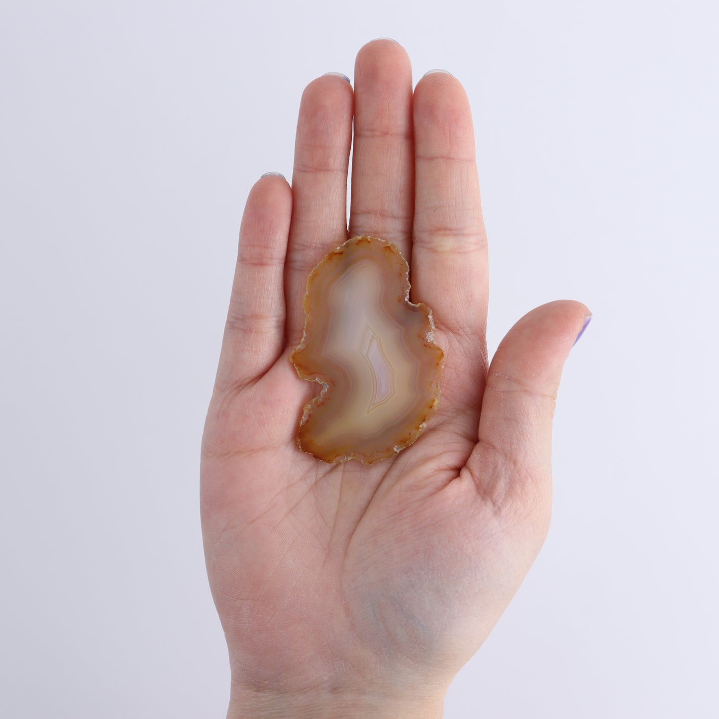 Iris Agate Slices Set of 8 - Expert Wholesale and Supplier of Wholesale Crystals & Bulk Gemstones, ["Agate","Iris Agate","Slices and Slabs"]