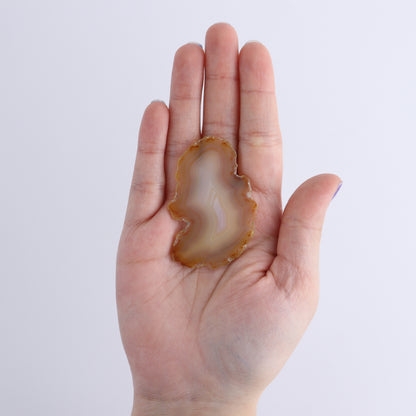 Iris Agate Slices Set of 8 - Expert Wholesale and Supplier of Wholesale Crystals & Bulk Gemstones, ["Agate","Iris Agate","Slices and Slabs"]